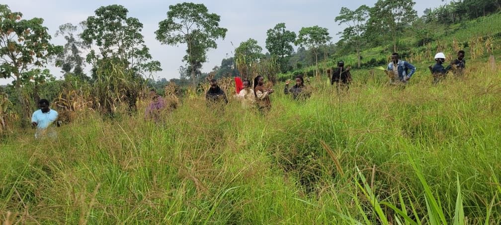 WRISE project field activity